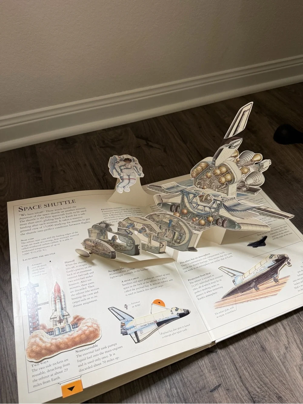 Incredible Pop-Up Cross-Sections